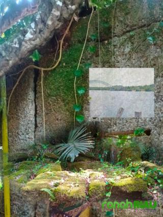 Puisi tentang Sejarah: Kota Riuh dan Kenangan, Karya Uleceny Saguni